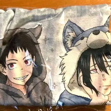 염염노소방대 선샤인 시티 프린스 호텔 담요