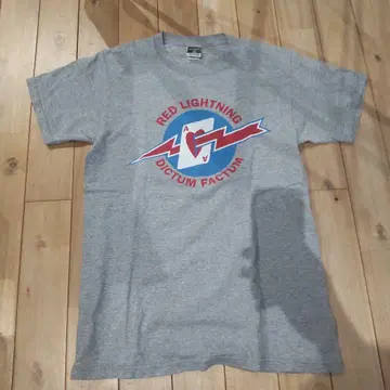 AVIREX 그레이 T셔츠 USA제