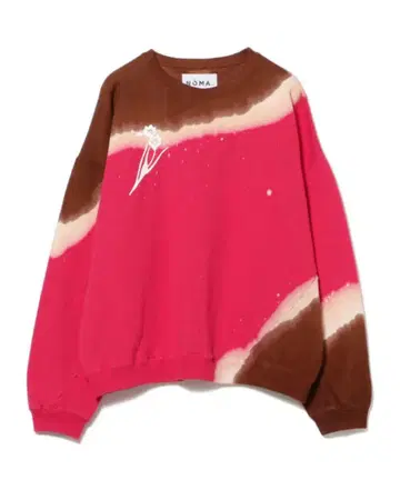 NOMA t.d. Ray BEAMS 별주 타이다이 맨투맨