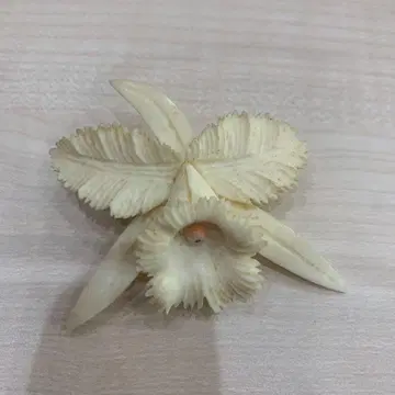 크림색 꽃 모양 브로치