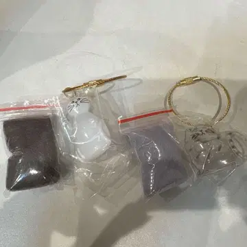 우리 아이의 털뭉치