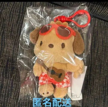 일광화상 포차코 하와이 한정판