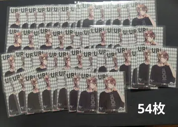 컬러풀피치 카라피치 우리 원더랜드 신 비쥬 2023 트레이딩 카드