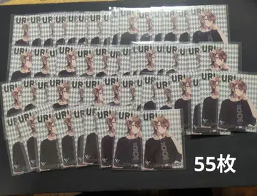 컬러풀피치 카라피치 우리 원더랜드 신 비쥬 2023 트레이딩 카드