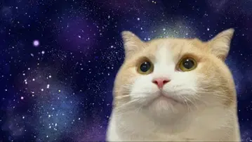 [ 미개봉 ] HG 돔 릭 돔 아카이 조곡