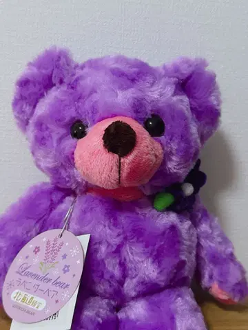 홋카이도 지역 한정 베어 택 포함 새상품 봉제 인형