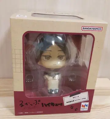 하이큐!! 룩업 스나 린타로