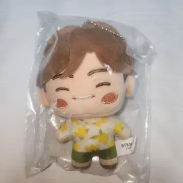 시마무라 BTS 인더섬 마스코트 참 V