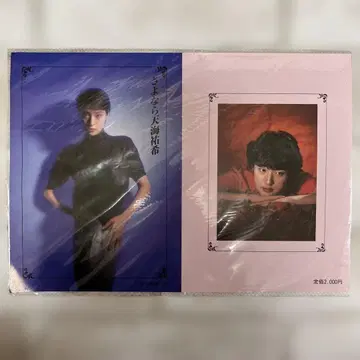 다카라즈카 시대 안녕 아마미 유키 카드 2장