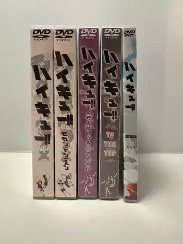 DVD 31장 하이큐!! TV 전편 + 극장판