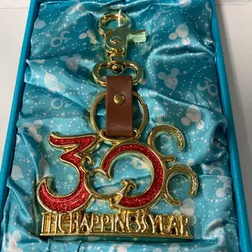 도쿄 디즈니 리조트 30주년 키링