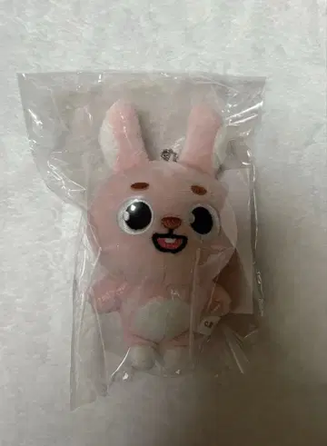 원필 백참 DAY6 애니멀즈 FOREVER YOUNG 2