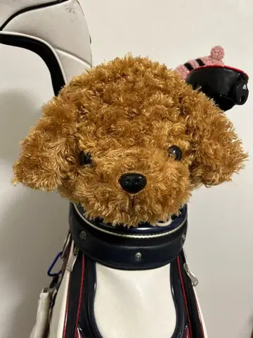 토이 푸들의 아이언 커버(2)