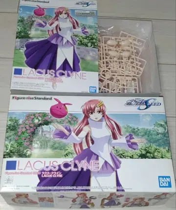 Figure-riseStandard 라크스 클라인