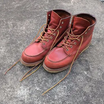 레드윙 8875 아이리쉬 세터 US 8E 26cm