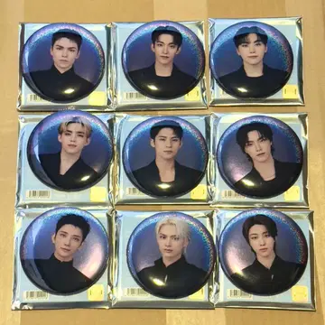 SEVENTEEN 세부치 캔뱃지 NEW 컴프 9개