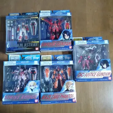 MS 인 액션 SEED 세트