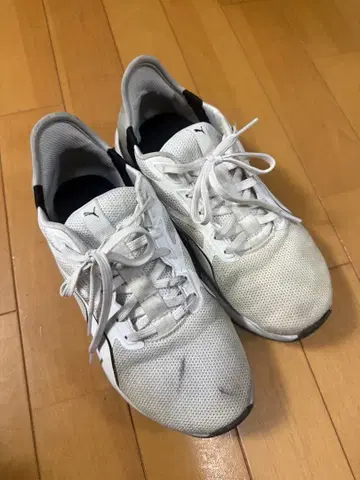 PUMA SOFTRIDE 스니커즈 화이트 24cm