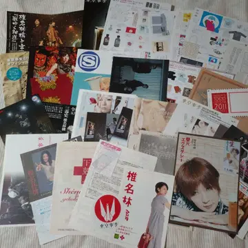 시이나 링고 플라이어 세트