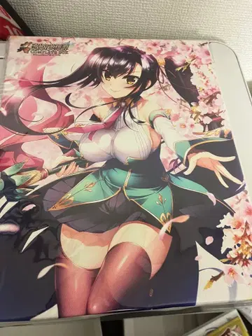 신 연희영웅담 COMPLETE BOX 특전 F3 사이즈 캠퍼스 칸우