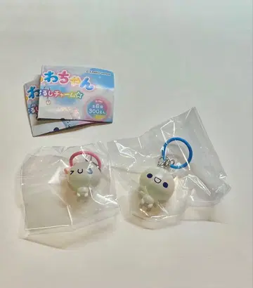 푹푹 아와와짱 콜롱토 클리어 메지루시 참