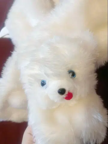 팬시 아라모드 곰 머플러 티펫