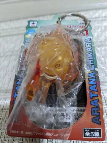 원피스 피규어 키링 ~새로운 힘~ 상디