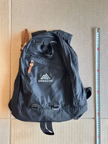 GREGORY 백팩 파인 데이 FINE DAY 블랙 18L