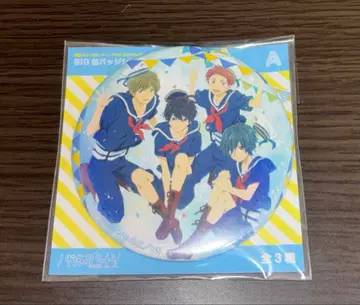 하이 스피드! BIG 캔뱃지 시리즈 A