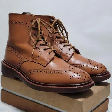 트리커스 스토우