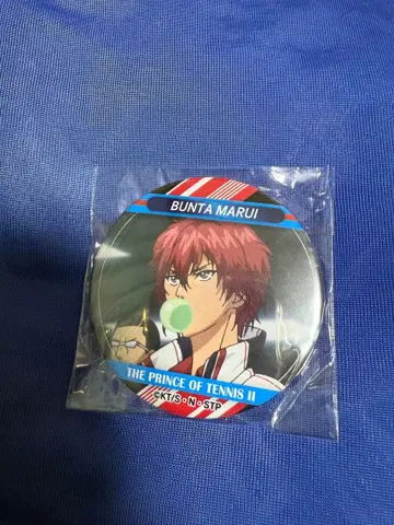 신 테니스의 왕자님 테니페스 2023 캔뱃지 마그넷