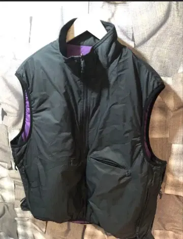 DAIWA PIER39 PUFF VEST