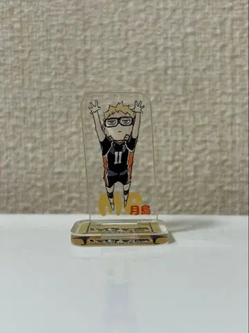 하이큐 아크릴 mini 피규어 츠키시마 케이