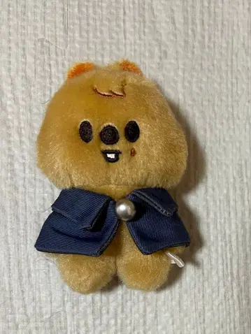 straykids 공식 skzoo 봉제 인형 10cm 한쿼카