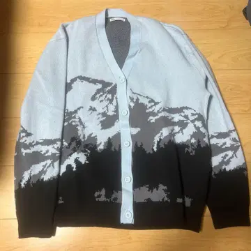 ZARA 풍경 무늬 가디건 M 사이즈