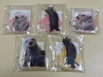 랏코의 메이짱 복권 펜 스탠드 5종 컴플리트 아크릴 스탠드