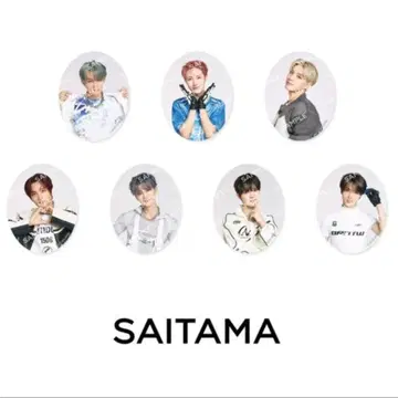 미개봉 새상품 NCT DREAM 드림쇼4 회장 한정판 스티커 세트