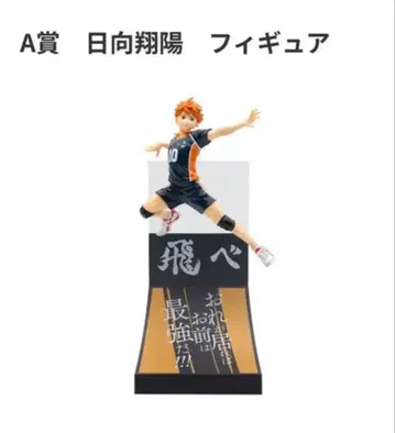 하이큐!! 히나타 쇼요 A상 피규어