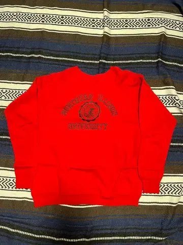 80년대 노던 일리노이 대학교 맨투맨