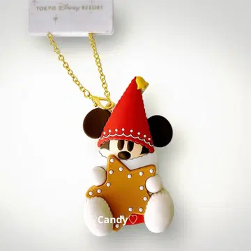 [ 당일 발송 ] TDR 디즈니 크리스마스 리루린린 백참 미사용