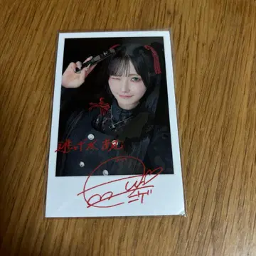 큐루링 해봐 큐루시테 돈키 KATE 콜라보 세트 신기루 아뮤