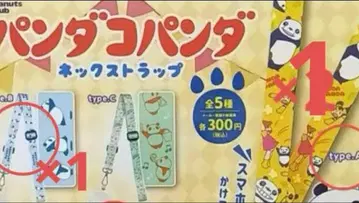 팬더 팬더 넥스트랩 세트