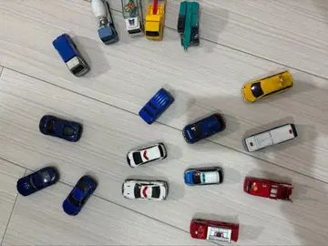 미니카 여러 가지 17대