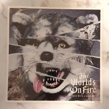 MAN WITH A MISSION 메가 재킷