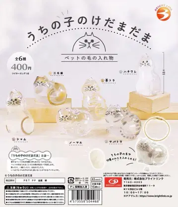 우리 집 털뭉치