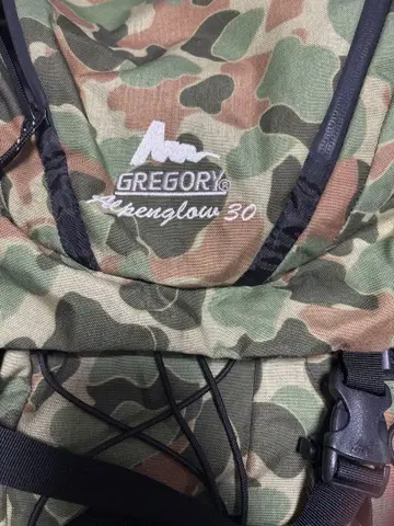 GREGORY Aspenglow 30 카모플라쥬 백팩