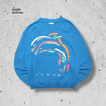 80s USA Hanes 네온 돌고래 아트 맨투맨 CARMEL M