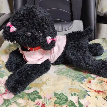 블랙 토이 푸들 봉제 인형 핑크 의류