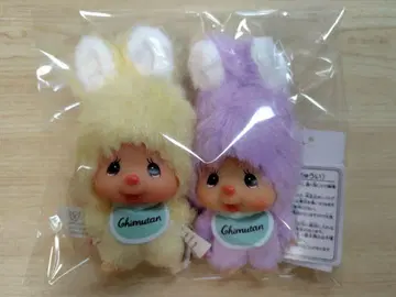 몬치치 침탄 페어 노랑 보라