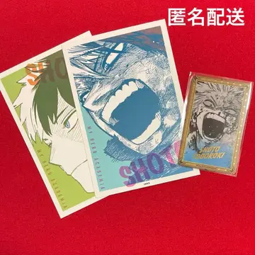 나의 히어로 아카데미아 원화전 원신 카드 금박 클리어 카드 토도로키 쇼토